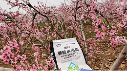 果树来年高产，秋施基肥千万别偷懒