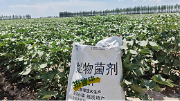 微生物菌剂守护土壤健康
